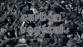 Carbon vegetal